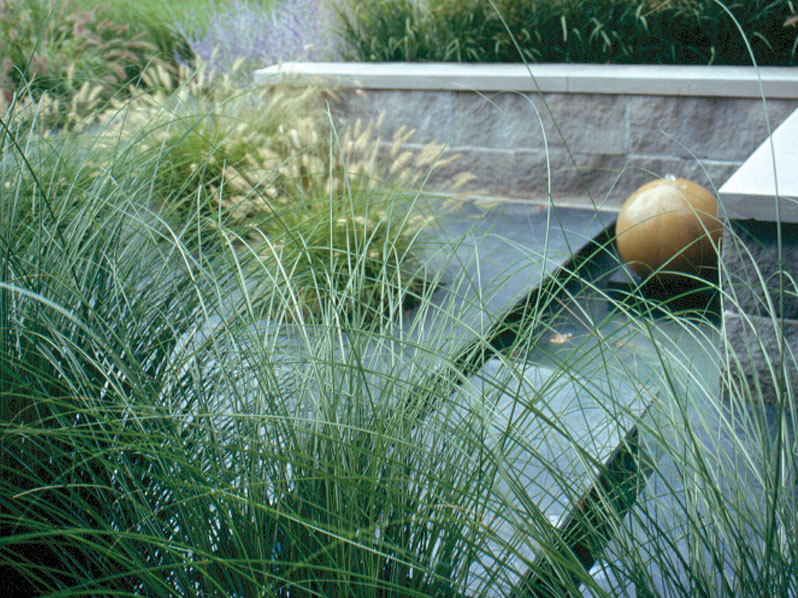 Port Dalhousie (Modern Grasses)